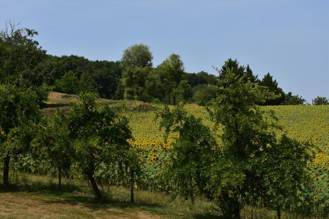 DolmayracDomaine De Calbiac住宿加早餐旅馆 外观 照片