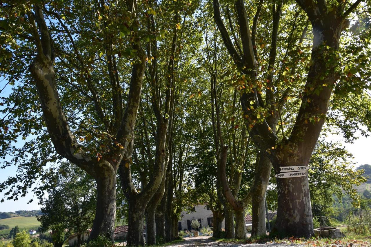 DolmayracDomaine De Calbiac住宿加早餐旅馆 外观 照片